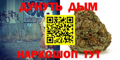 дмт Аргун