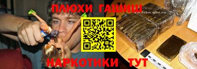 дмт Аргун