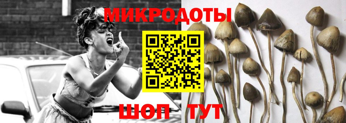 Псилоцибиновые грибы MAGIC MUSHROOMS  Псилоцибиновые грибы мицелий  Вход с VPN  Астрахань 