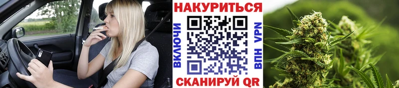 Бошки марихуана OG Kush купить сайты Астрахань